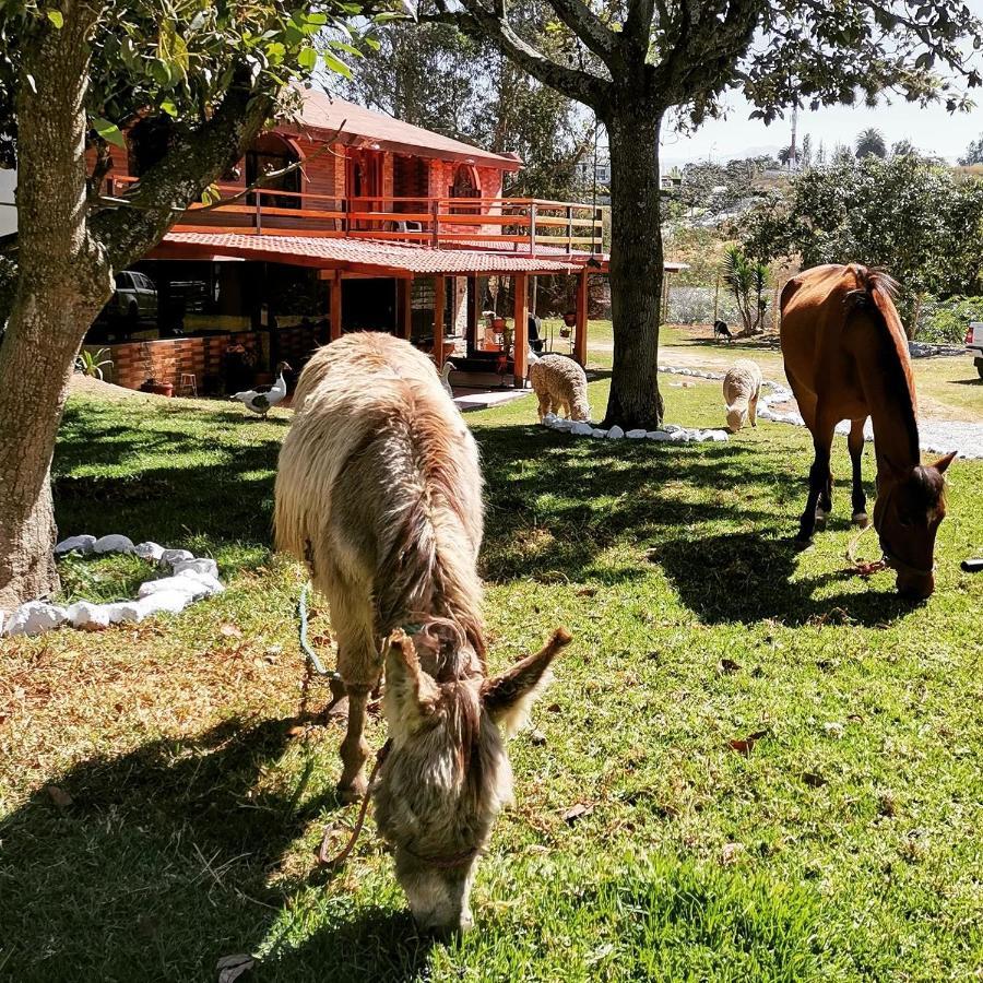 La Granja De Papa Alberto Puembo Exteriér fotografie